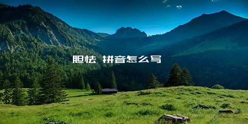 胆怯 拼音怎么写